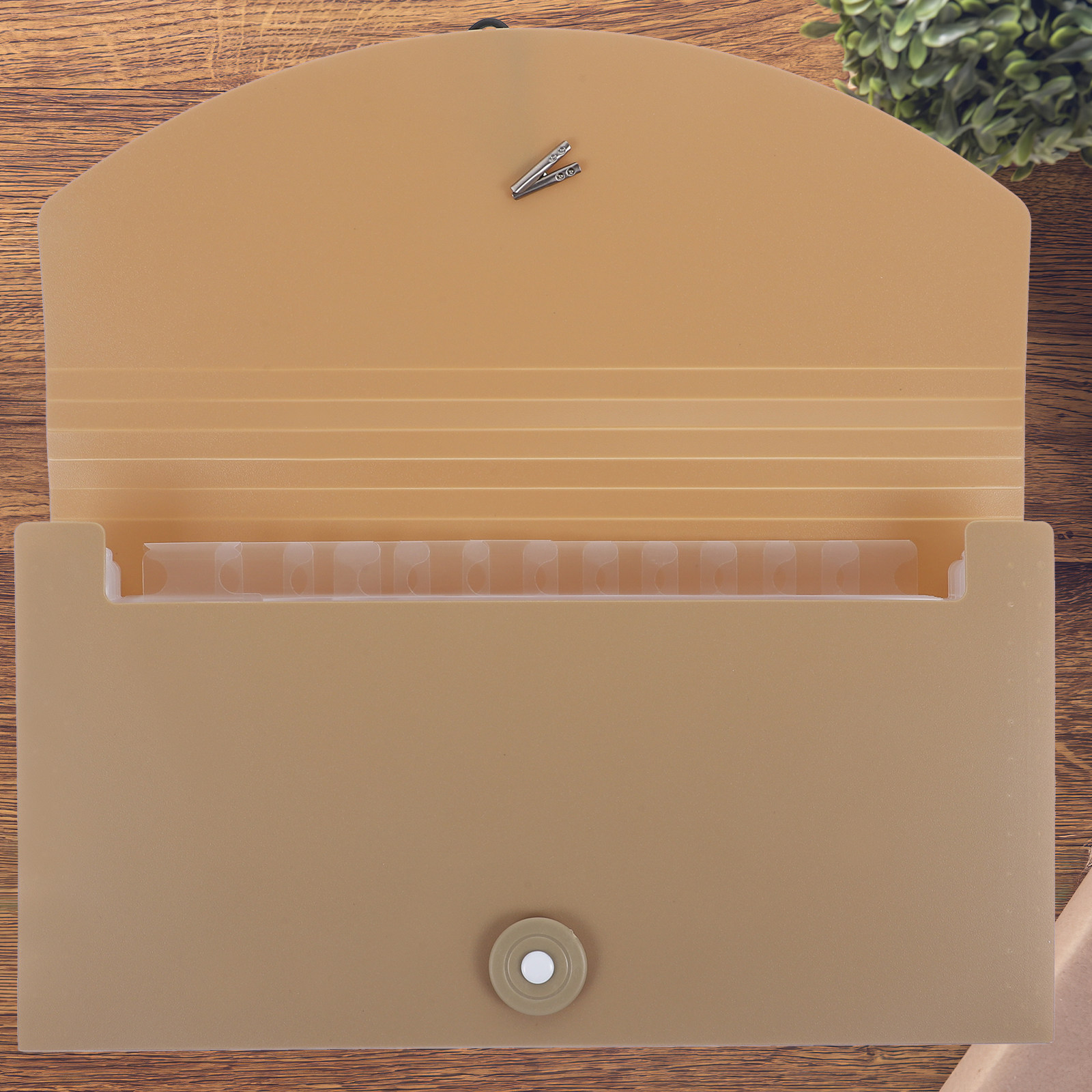 13-Pocket Expanding File Folde - đánh giá và giá Expandable Accordion File Folder 13 Pockets